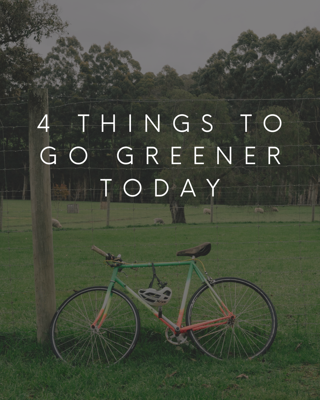 4 Easy Ways to Go Greener Today!
