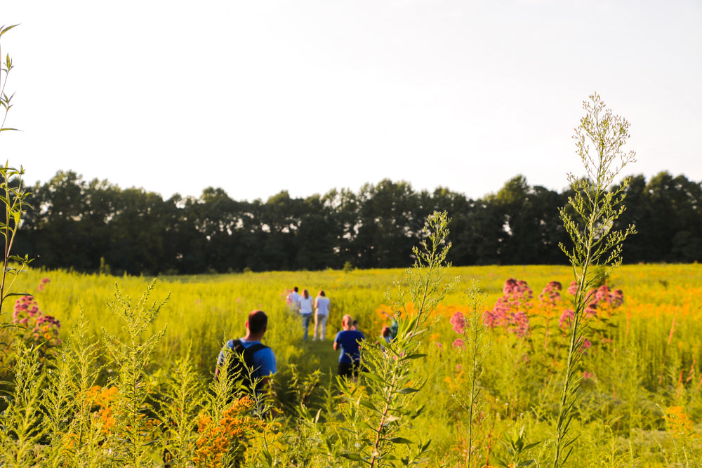 The Power of Spending More Time Outdoor